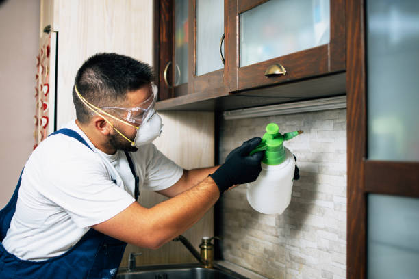 Best Wildlife Control Services  in Larkfield Wikiup, CA