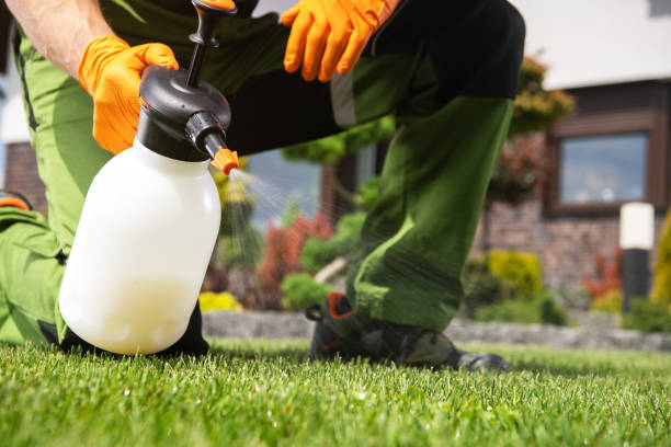 Best Local Pest Control Services  in Larkfield Wikiup, CA