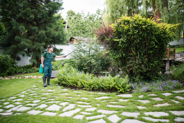 Best Best Pest Control Companies  in Larkfield Wikiup, CA