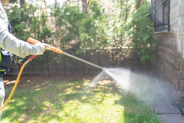 Best Spider Control Near Me  in Larkfield Wikiup, CA