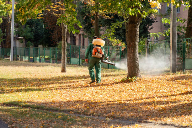 Best Pest Control Treatment  in Larkfield Wikiup, CA