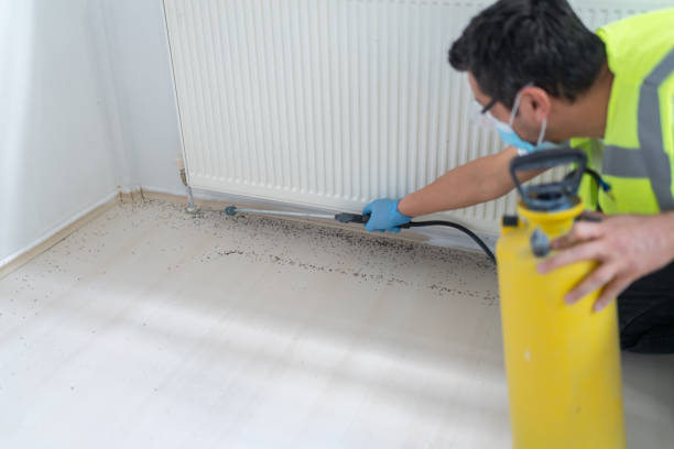 Best Affordable Pest Control Services  in Larkfield Wikiup, CA