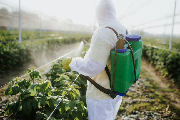 Best Commercial Pest Control Services  in Larkfield Wikiup, CA